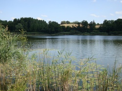 [Espace naturel sensible de l'étang de Montjoux]