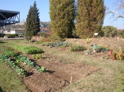 Jardin du Centre d'échanges de Perrache