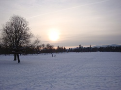 Coucher de soleil dans le parc