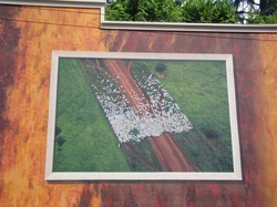 [Mur peint végétal, rue de l'Annonciade]