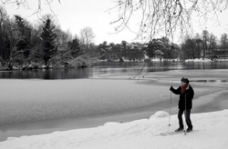 Skieur au parc