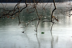 Bouteille de bière sur le lac gelé