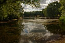 [Le lac de Miribel-Jonage]