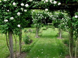 Fareins (Ain) : jardin du château de Fléchères