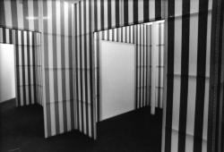 [Nouveau Musée de Villeurbanne. Exposition "Situation I" de Daniel Buren]