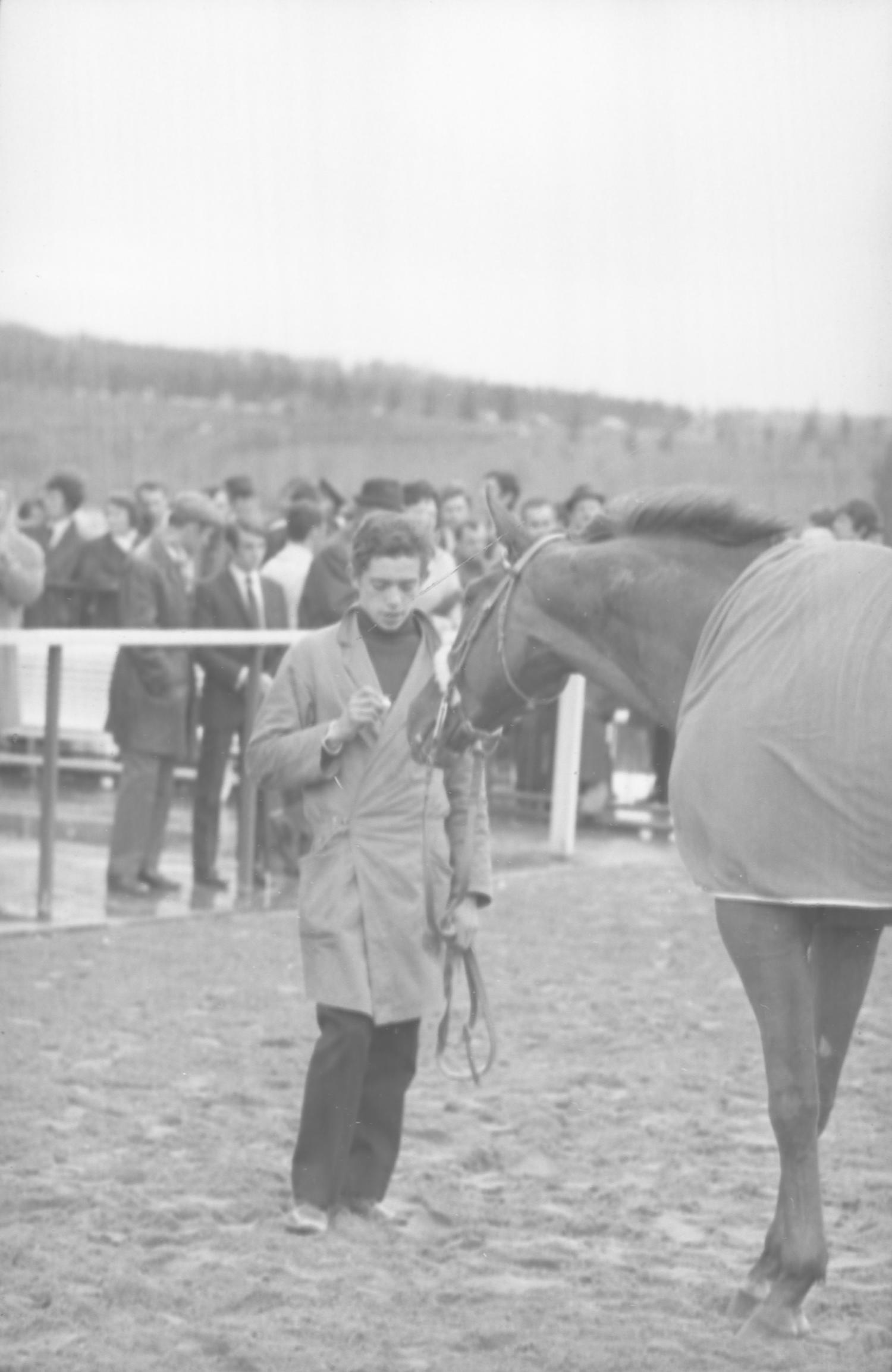 Courses de chevaux à Parilly