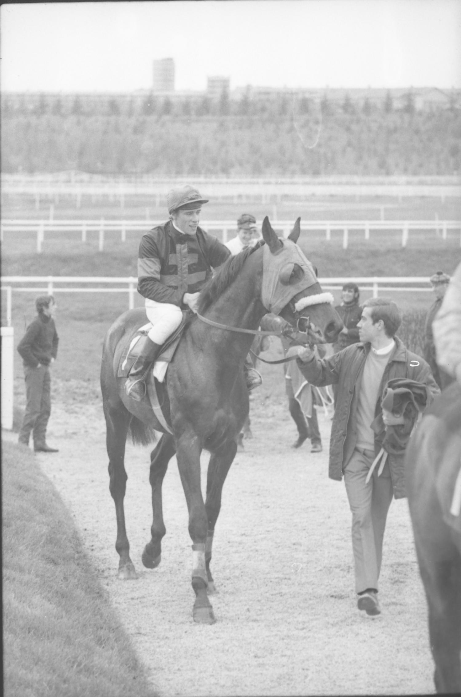 Courses de chevaux à Parilly