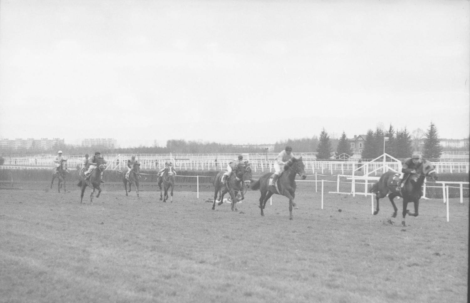 Courses de chevaux à Parilly