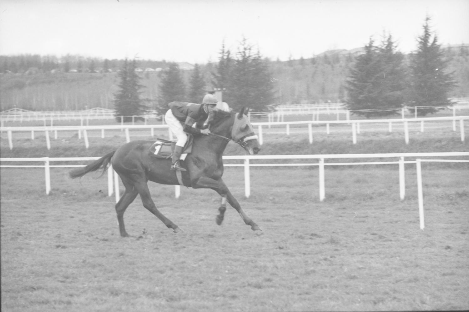 Courses de chevaux à Parilly