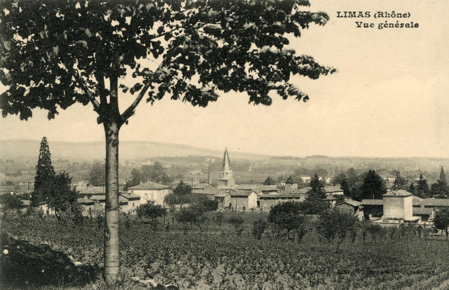 Limas (Rhône). - Vue générale