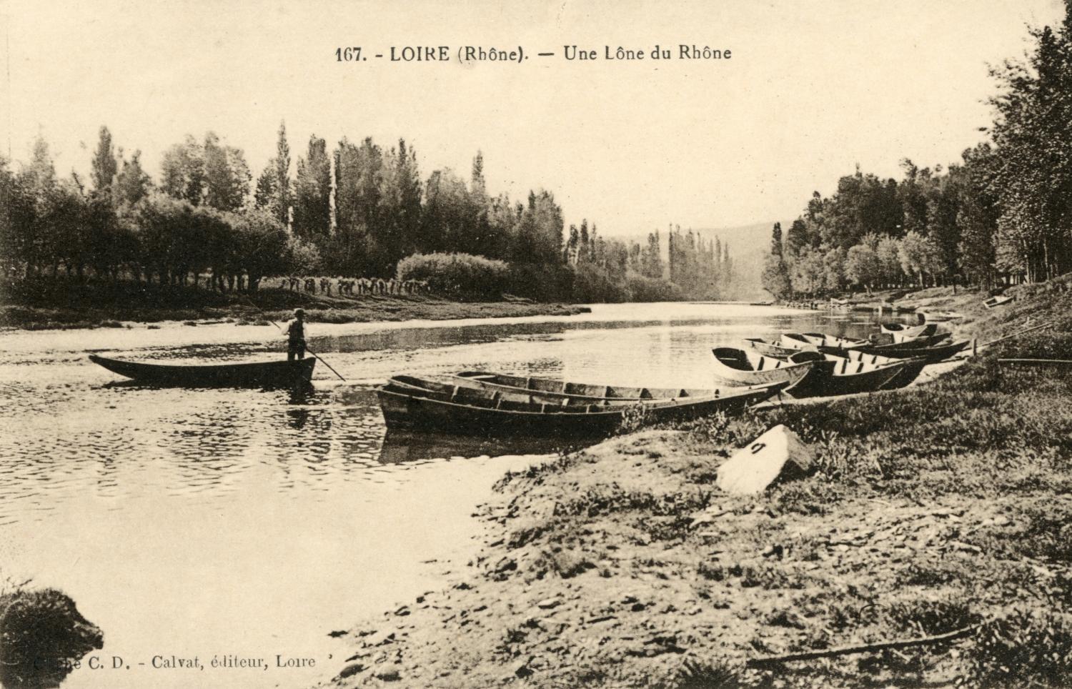 Loire (Rhône). - Une lône du Rhône