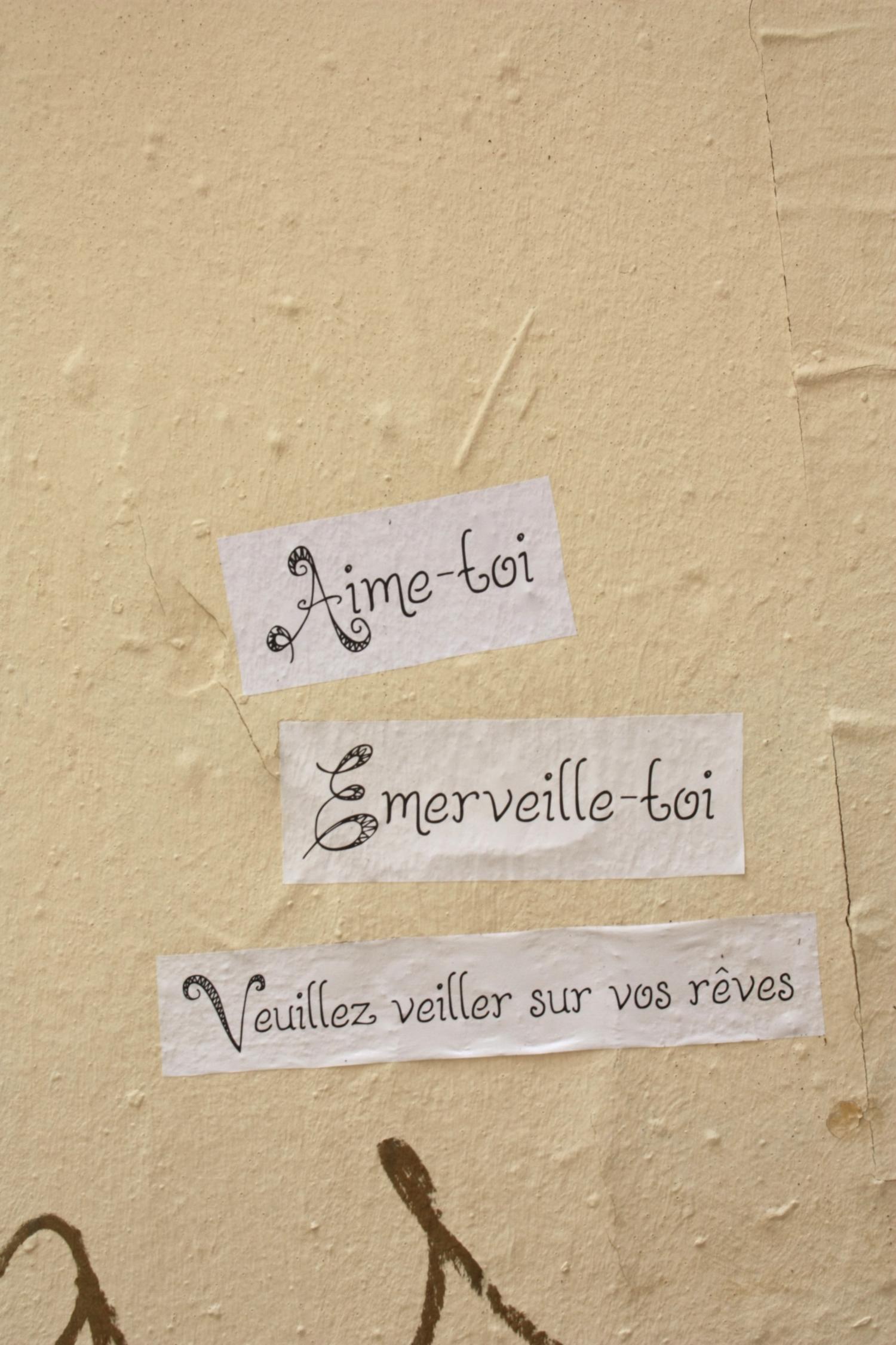 Tag papier, pensées, rue Imbert-Colomès, Lyon 1er