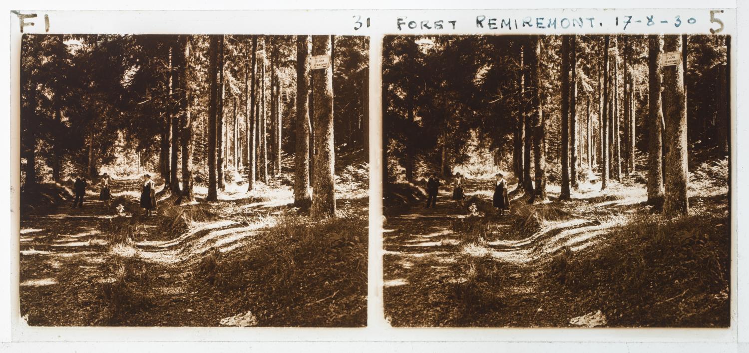 Remiremont, forêt