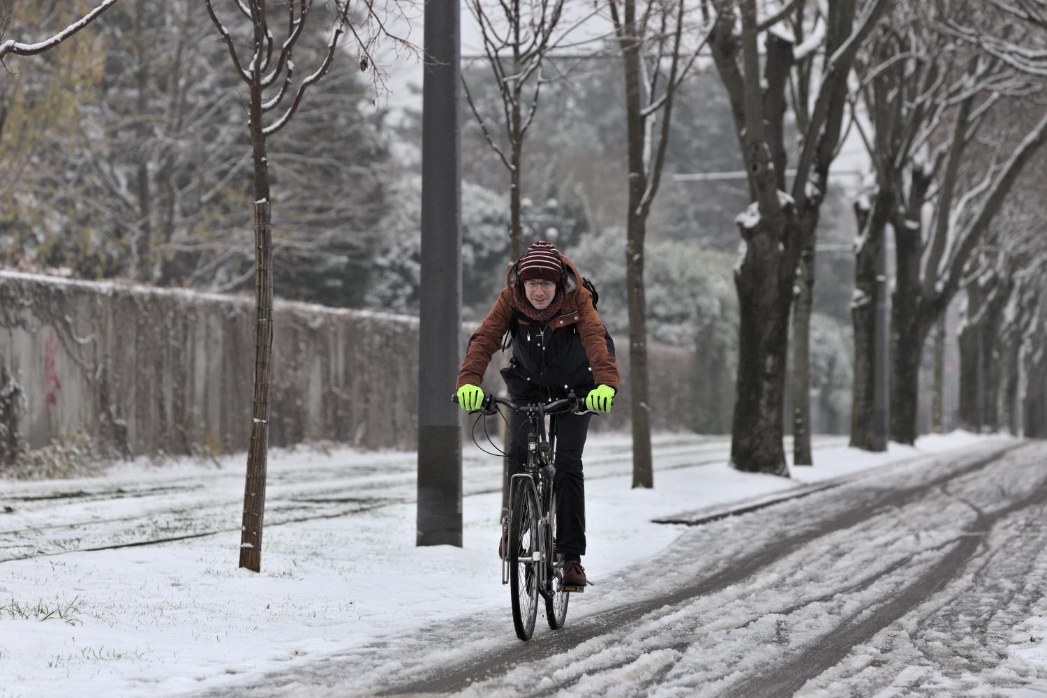 Cycliste sous la neige, Bron