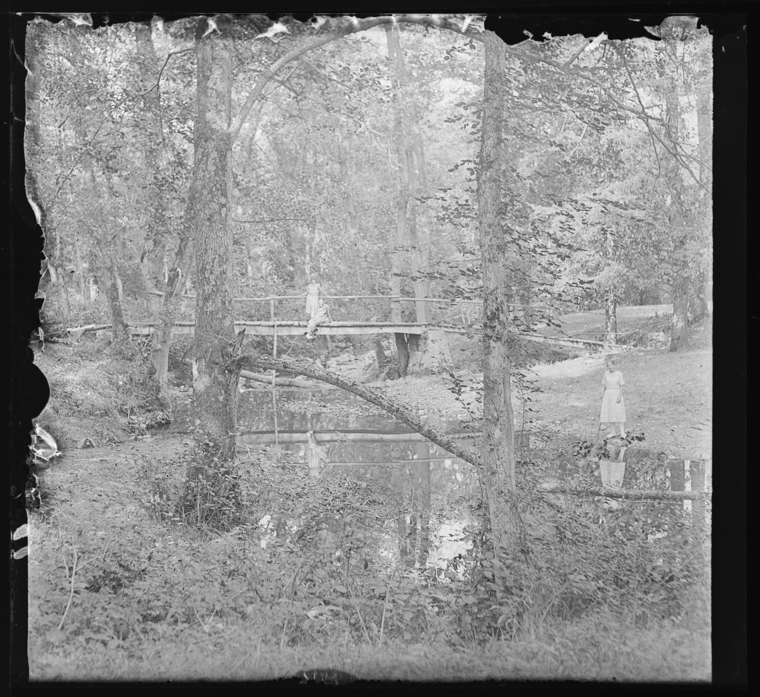 Légny, forêt de la Flachère, Les Ponts-Tarrets