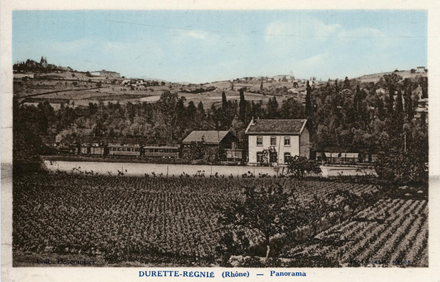 Durette-Régnié (Rhône). - Panorama