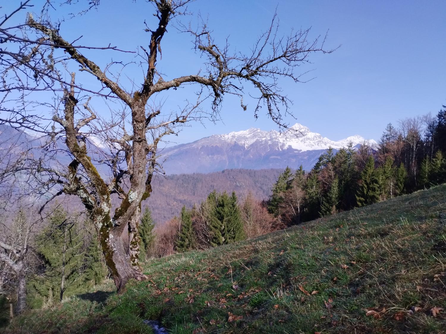 Balade des Pointières, Queige, Savoie