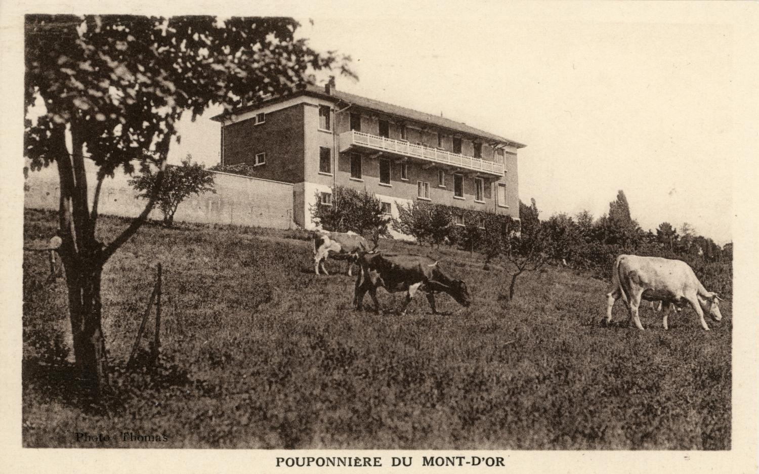 Saint-Cyr-au-Mont-d'Or (Rhône). - Pouponnière du Mont-d'Or