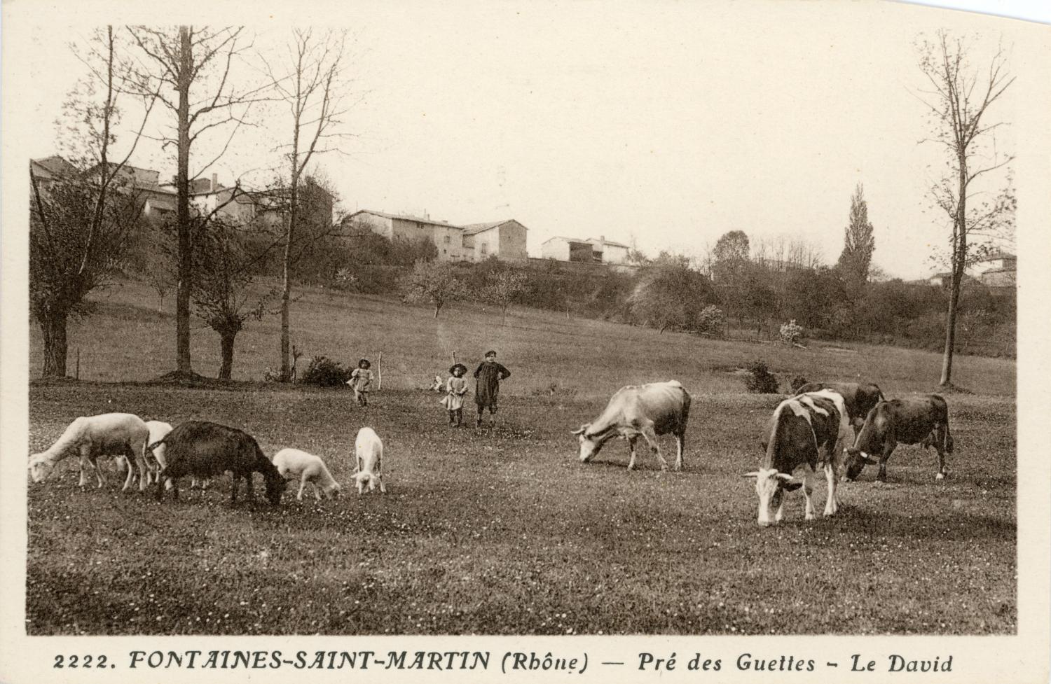 Fontaines-Saint-Martin (Rhône). - Pré des Guettes. - Le David