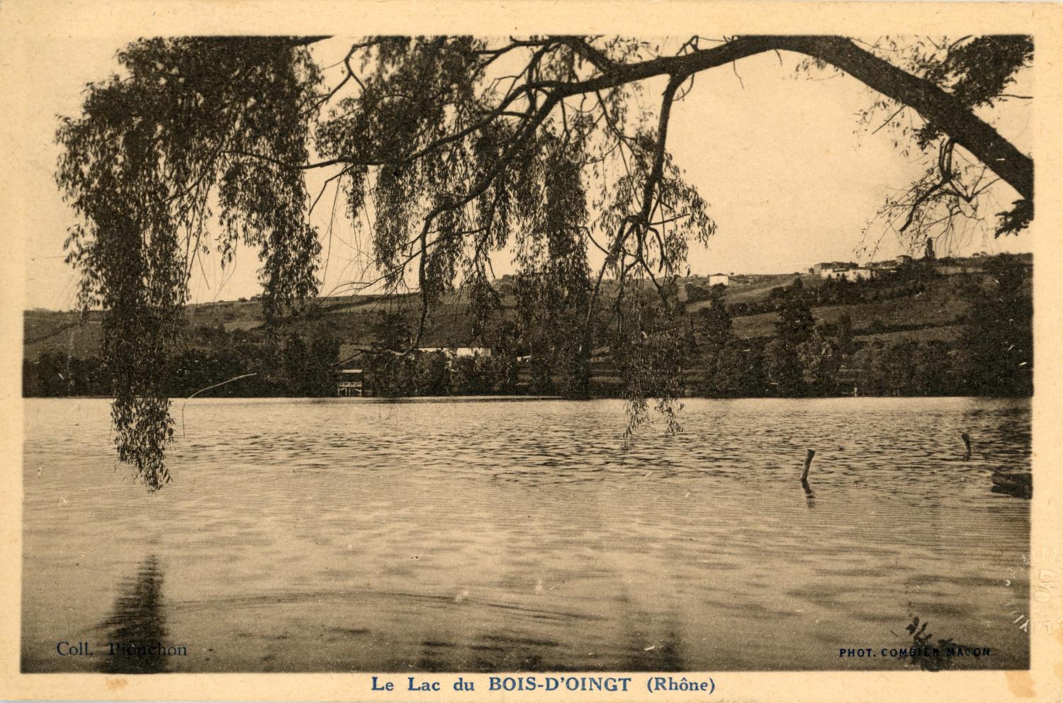 Le lac du Bois-d'Oingt (Rhône)
