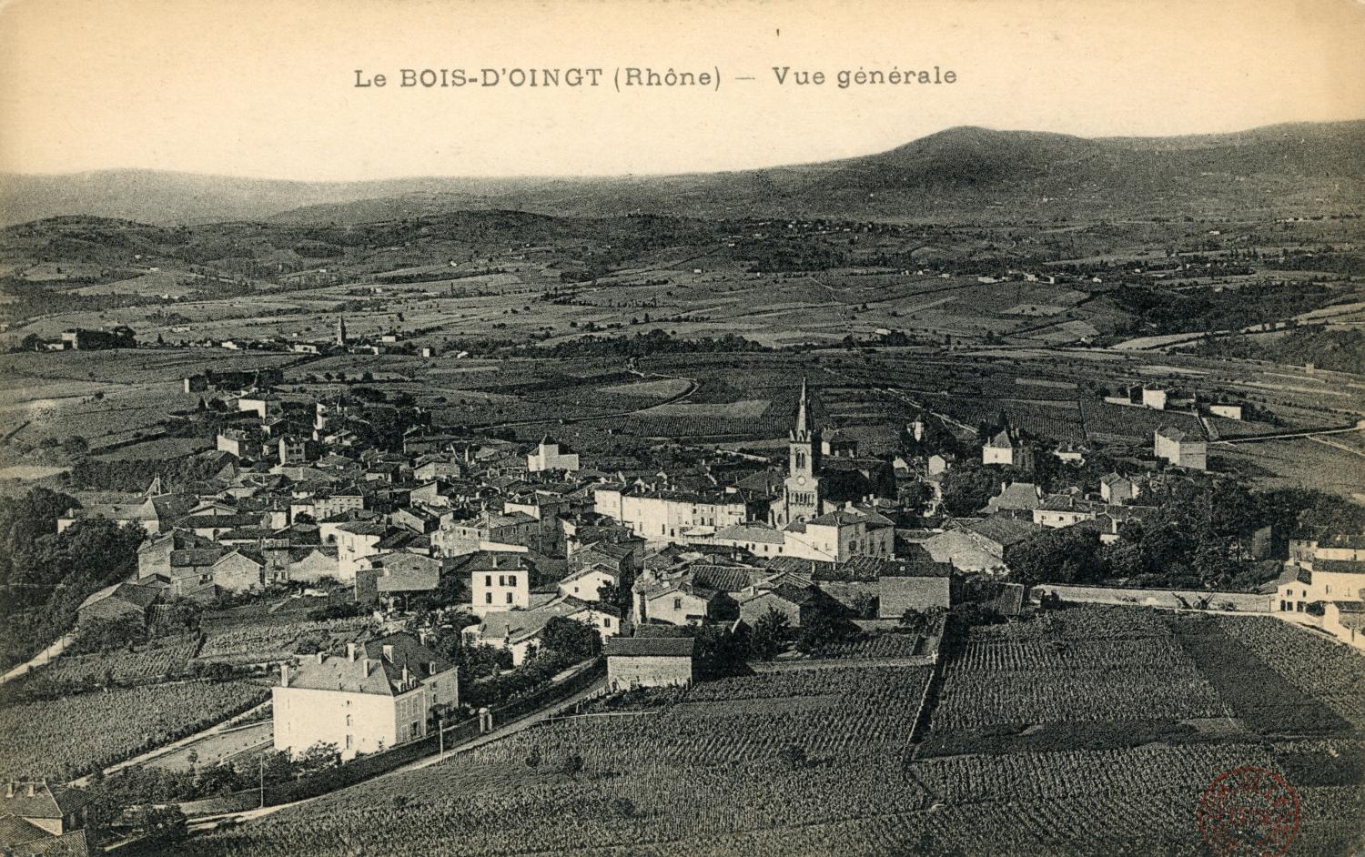 Le Bois-d'Oingt (Rhône). - Vue générale