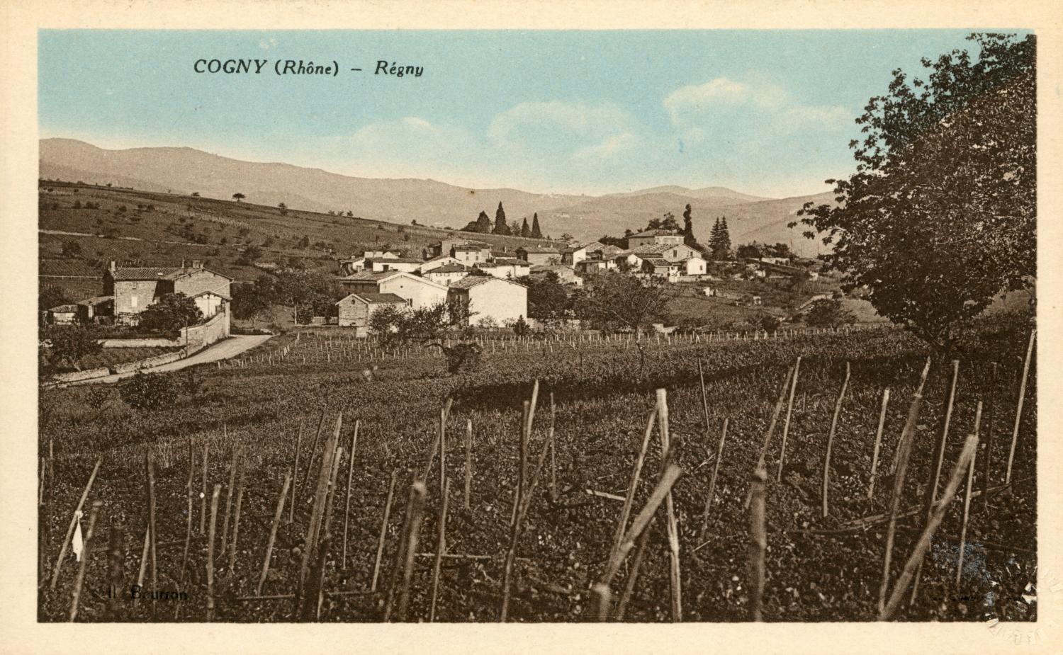Cogny (Rhône). - Régny